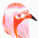 flamingo-paradise avatar