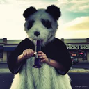 flatbushpanda avatar