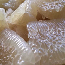 flawedjflower avatar