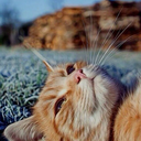 flawless-compton-blog avatar