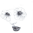 fleetinghalcyon avatar