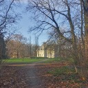 flemishgiant-64 avatar