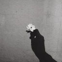 fletchersaurus avatar