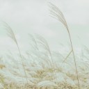 fleurdreaming avatar