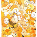 flexinshlex19 avatar