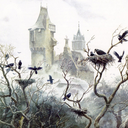 flightlessdisposition-blog avatar