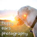 floppyearsphotography avatar