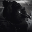 flora-of-the-moon avatar