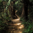 floral-coffee avatar