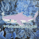 floraljaws avatar