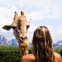 florescer-dor avatar