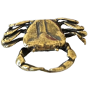 floridastonecrab avatar