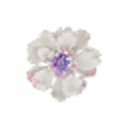 flouriculturie avatar