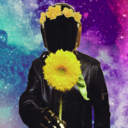 flowercrowns-and-technology avatar