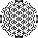 floweroflifetoday avatar