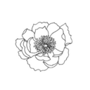 flowerrstudies avatar