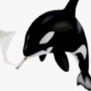 flowers0ffleshandblood avatar