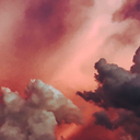 flowersin-myteeth avatar