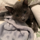 floweryanxiety avatar