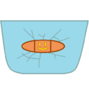 fluff-n-petals avatar