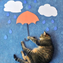 fluffyunicornpooop avatar