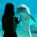 flukesandflorida avatar