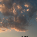 fluorescentalien avatar