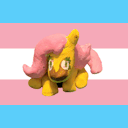 fluttershywheresheshouldntbe avatar