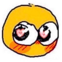 flying-baby-hippos avatar