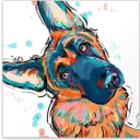 flying-dishcloth avatar