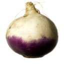 flying-turnip avatar