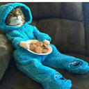 flysohighthaticantouchtheclouds avatar