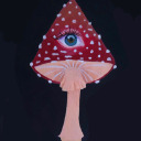 fond-fungi avatar