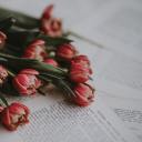 for-remembrxnce avatar