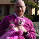 forabetterday00 avatar