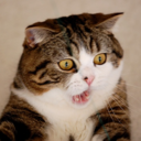 forcedmemeproductions avatar