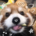 forensicforests avatar