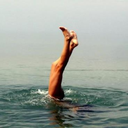 forestaway-blog avatar