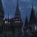 forestsareprettycool avatar