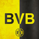 forever-dortmund avatar