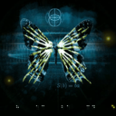 forever-or-tonight avatar