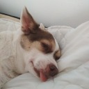 foreveraloneandsane avatar