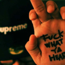 foreveranigga avatar