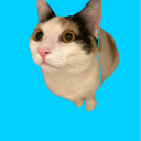 forevercrying21 avatar