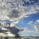 foreveregyptian avatar