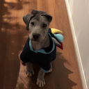 foreverficton avatar