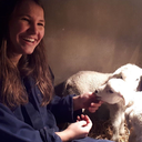 foreverinmyharto avatar