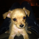 forgingmyself avatar