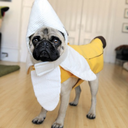 forgive-my-shins avatar