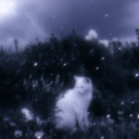 forrestgreen87 avatar